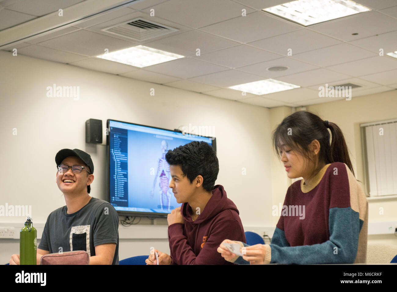 international students learn in a classroom all about the human anatomy Biology Diagrams