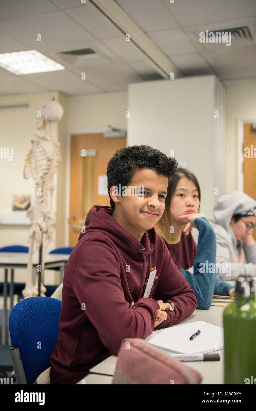 international students learn in a classroom all about the human anatomy ...
