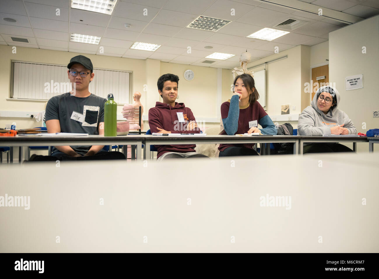 international students learn in a classroom all about the human anatomy ... Biology Diagrams