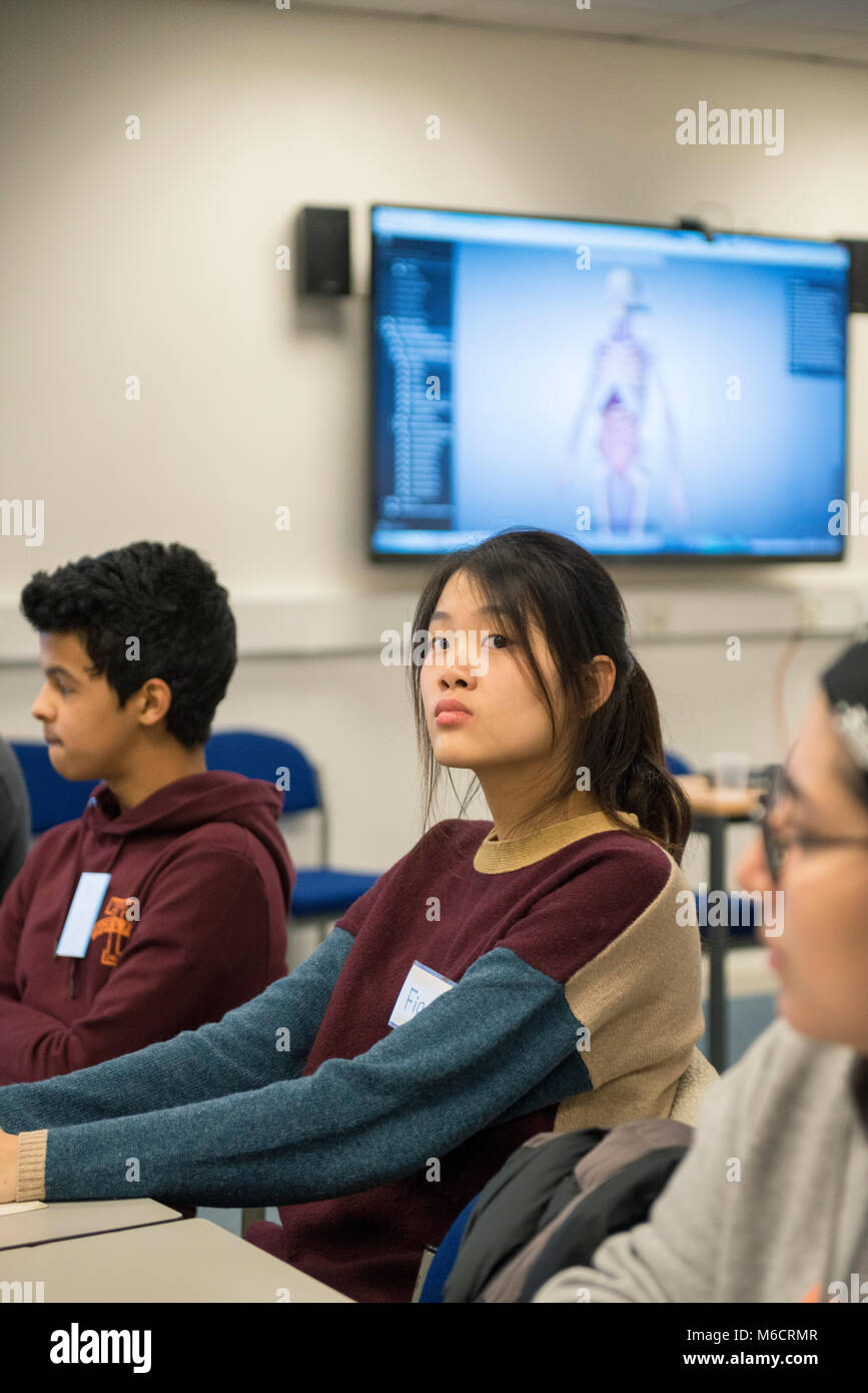 international students learn in a classroom all about the human anatomy ...