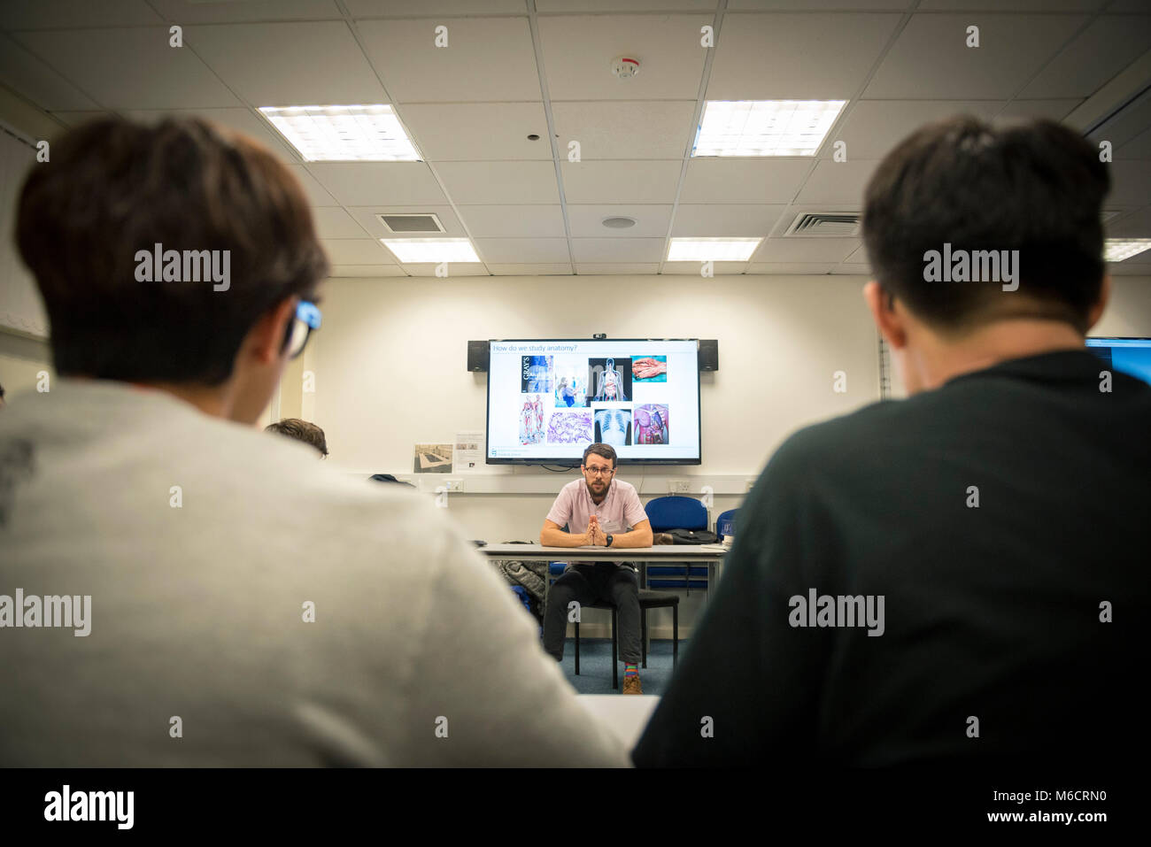 international students learn in a classroom all about the human anatomy ...