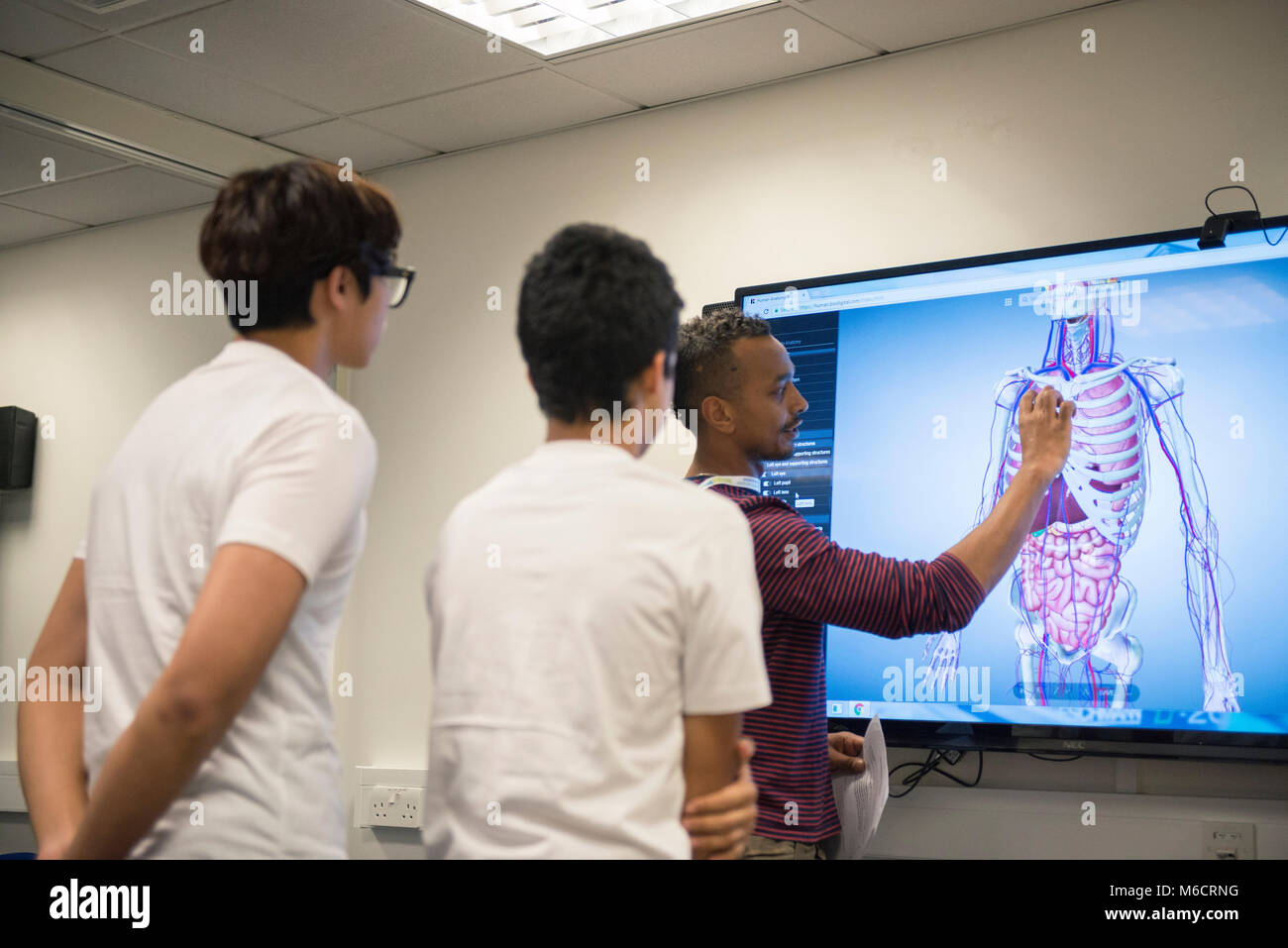 international students learn in a classroom all about the human anatomy ... Biology Diagrams