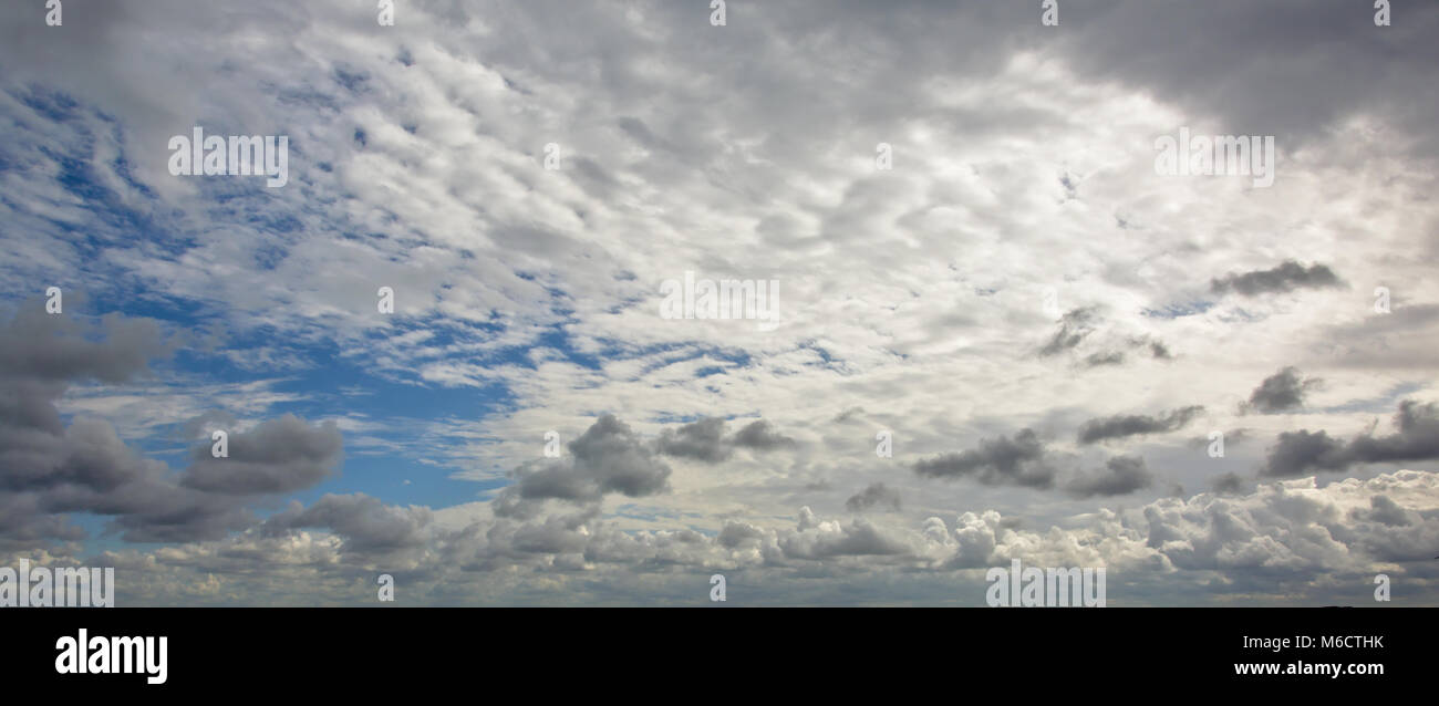 Panoramic cloudscape white and grey altocumulus clouds Stock Photo