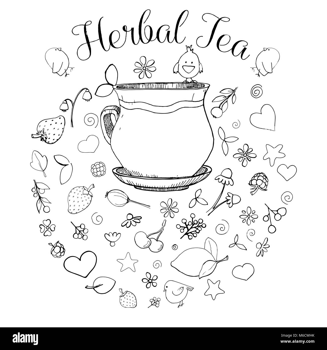 Hand drawn a cup, different herbs, plants, berries and birds. The inscription is herbal tea. Vector illustration of a sketch style. Stock Vector
