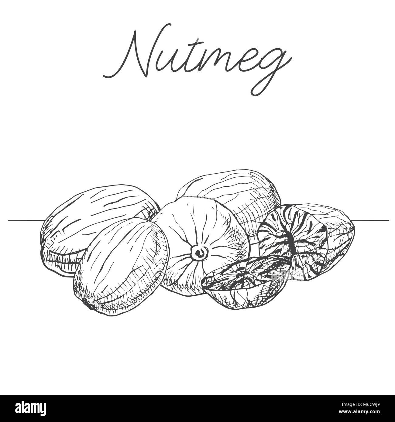 Oil of nutmeg Black and White Stock Photos & Images Alamy
