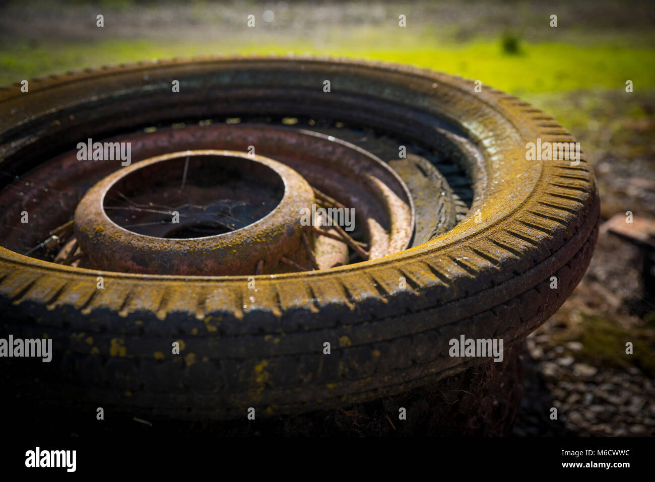 Old Truck Tire Stock Photo