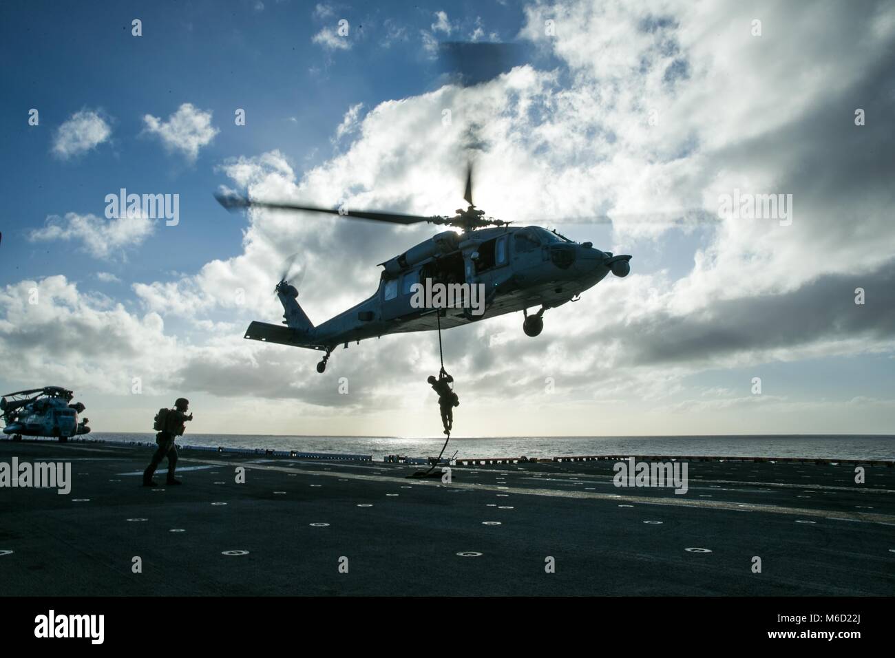 FLEET MARINE FORCE ATLANTIC MARINE FORCES COMMAND MARINE FORCES visual data 6