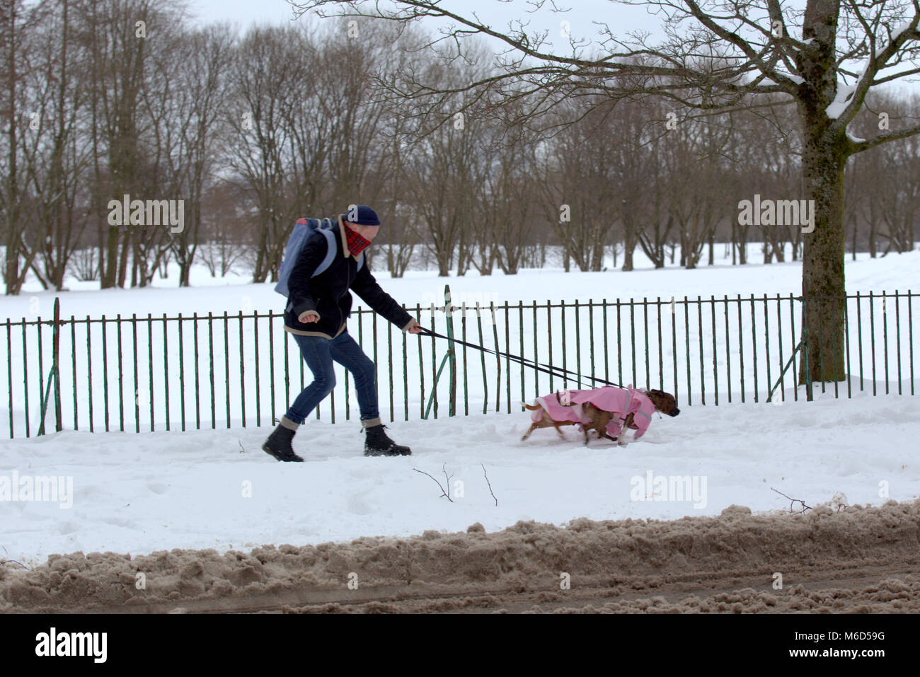 Back From Dog Walk Hi Res Stock Photography And Images Alamy