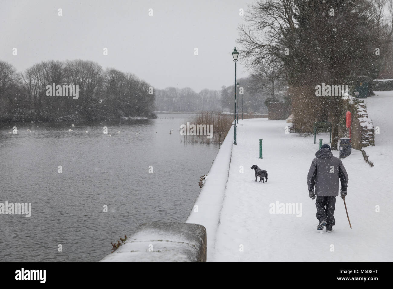 Pembrokeshire, Wales, 2nd March 2018. A rare snow filled scene - a dog walker Pembroke Castle mill pond, Pembroke town in Pembrokeshire, Wales Credit: Drew Buckley/Alamy Live News Stock Photo