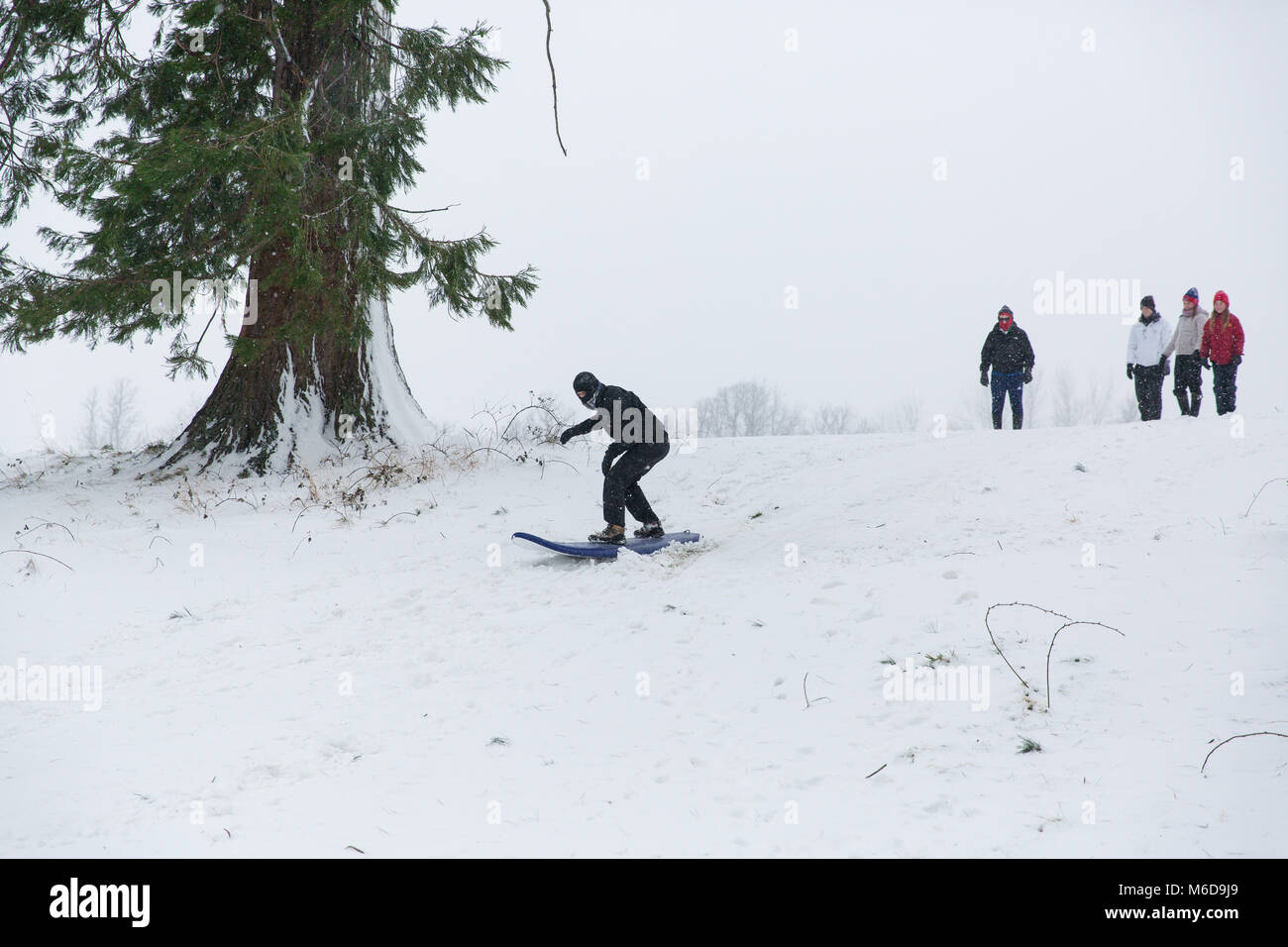 Celbridge, Kildare, Ireland. 02 Mar 2018: Teenagers using surf board to slide down the hill covered in snow. Beast from the east followed by storm Emma brought more snow and high winds across Ireland. Stock Photo