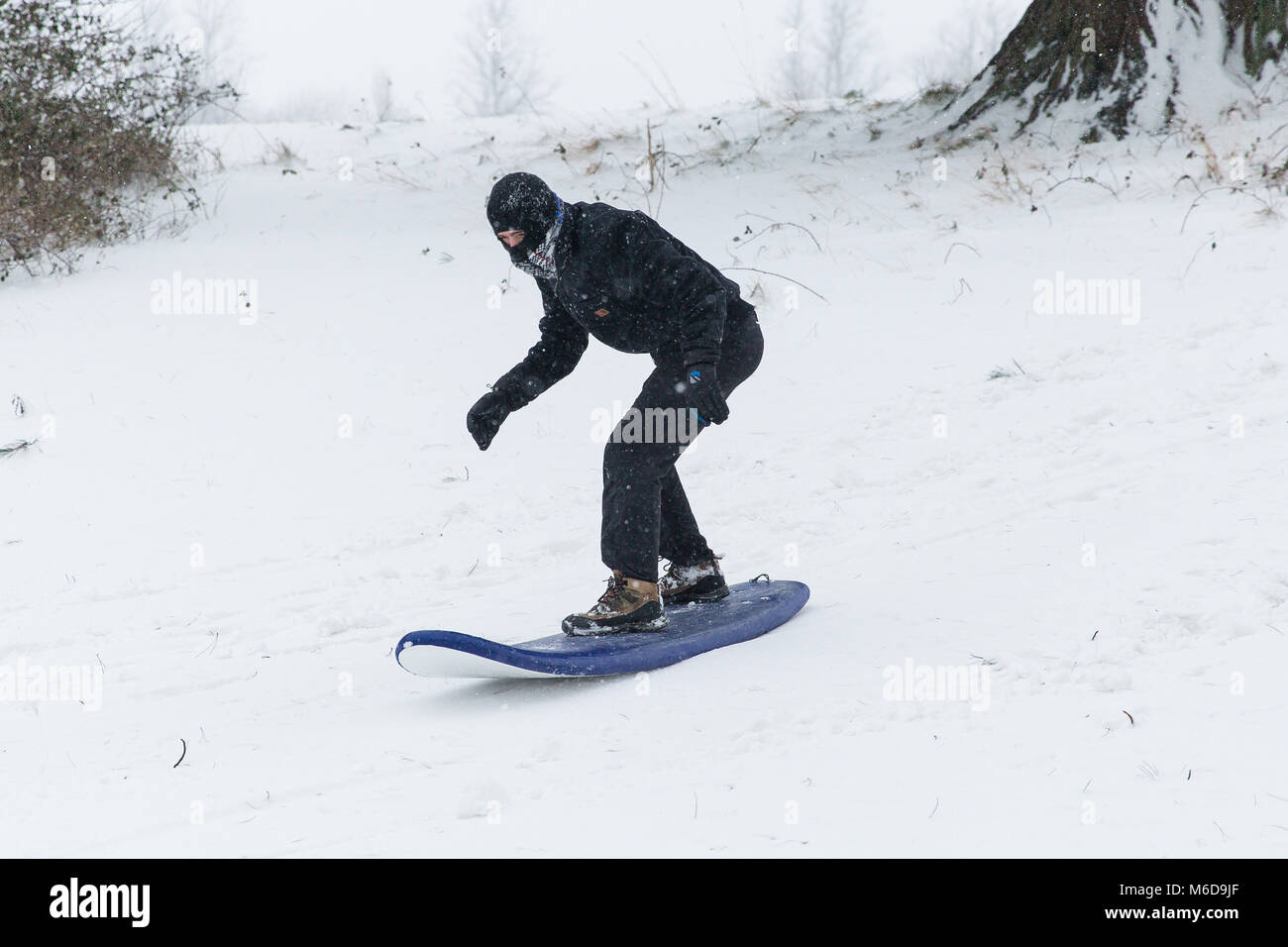 Celbridge, Kildare, Ireland. 02 Mar 2018: Teenagers using surf board to slide down the hill covered in snow. Beast from the east followed by storm Emma brought more snow and high winds across Ireland. Stock Photo