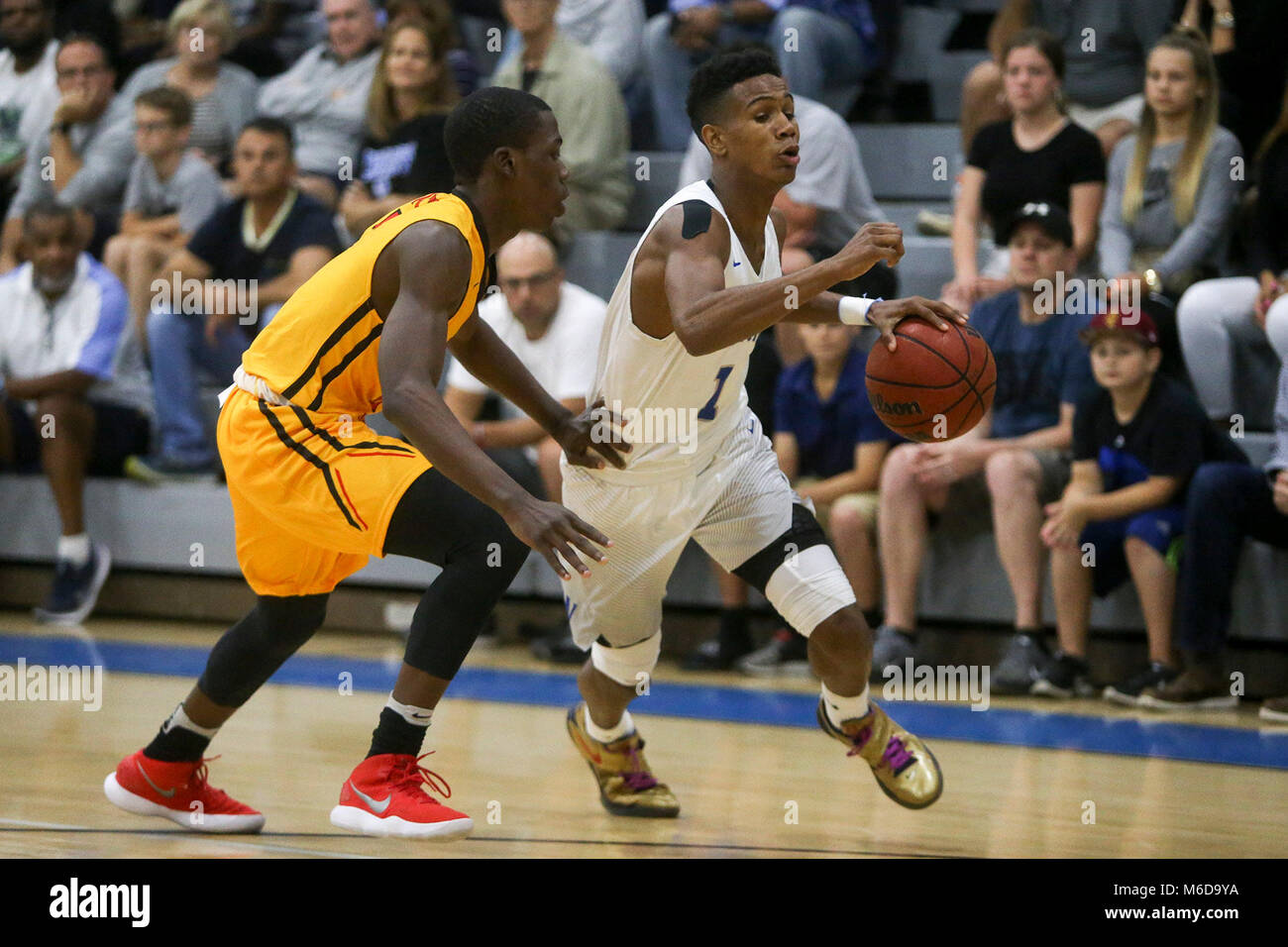 Wellington, Florida, USA. 2nd Mar, 2018. Wellington guard Bryan