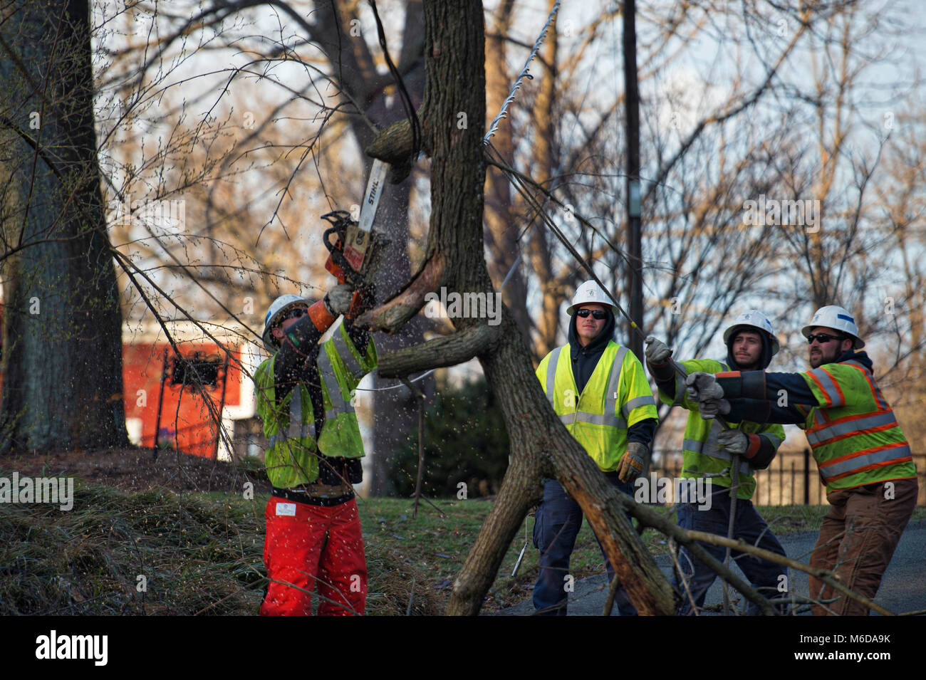 UNITED STATES: March 02, 2018: Trees and power lines are down all ...