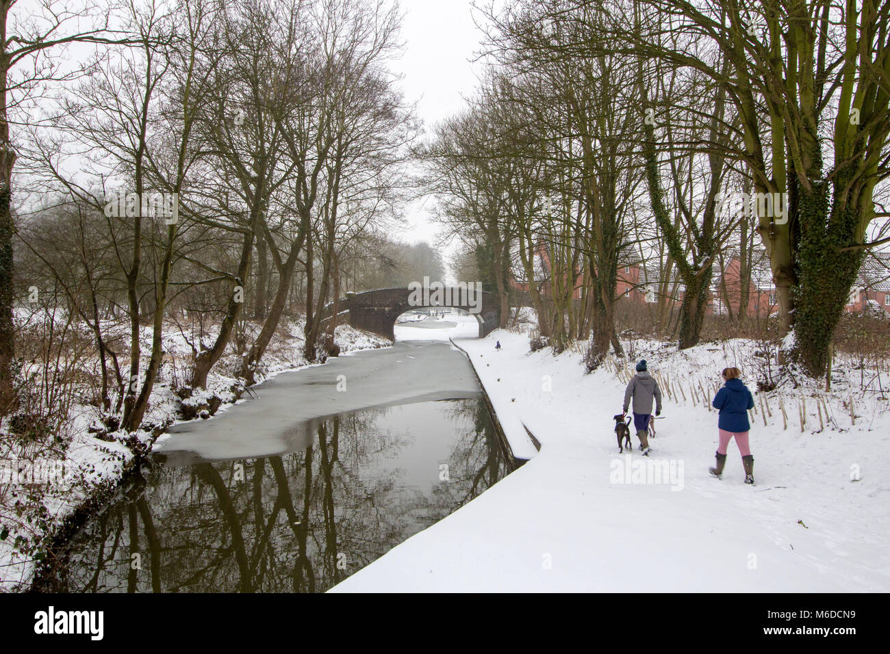 People walking their dogs alongside the frozen Coventry canal in North Warwickshire, UK. Credit: David Warren/Alamy Live News Stock Photo