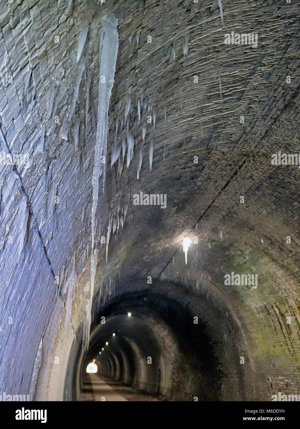 Peak District National Park, Derbyshire, England, UK. 3rd March 2018. UK Weather: thawing icicles up to 8ft long pose a danger to walkers when they fall inside the frozen Ashbourne Tunnel on the Tissington Trail railway walk in the Peak District National Park, Derbyshire, England, UK Credit: Doug Blane/Alamy Live News Stock Photo