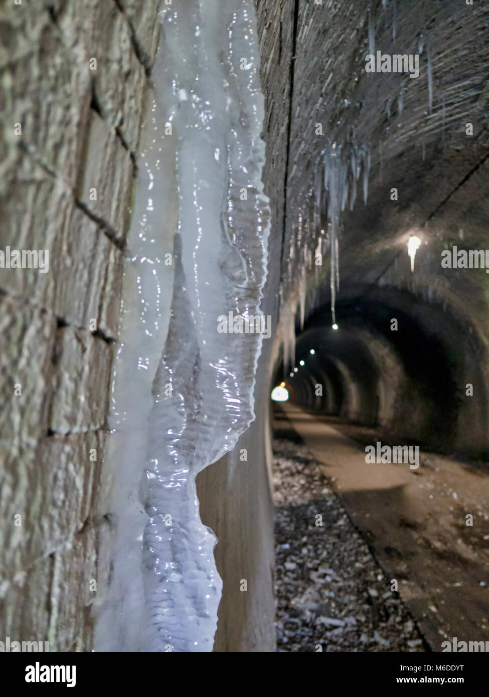 Peak District National Park, Derbyshire, England, UK. 3rd March 2018. UK Weather: thawing icicles up to 8ft long pose a danger to walkers when they fall inside the frozen Ashbourne Tunnel on the Tissington Trail railway walk in the Peak District National Park, Derbyshire, England, UK Credit: Doug Blane/Alamy Live News Stock Photo
