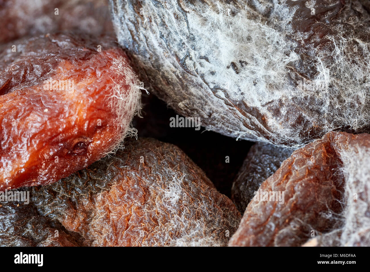 Extreme close up picture of moldy dried apricots, shallow depth of field. Stock Photo