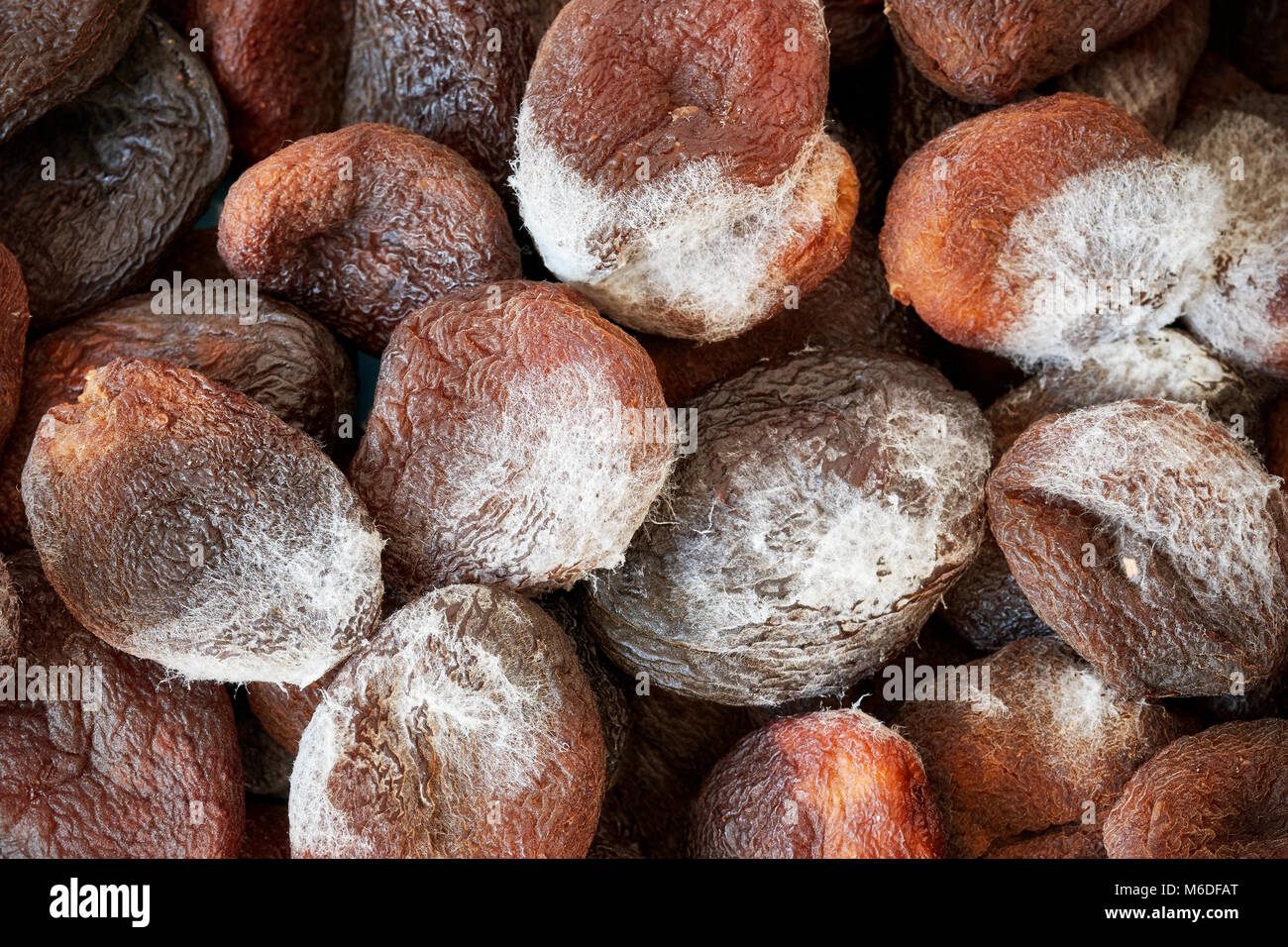 Close up picture of moldy dried apricots. Stock Photo