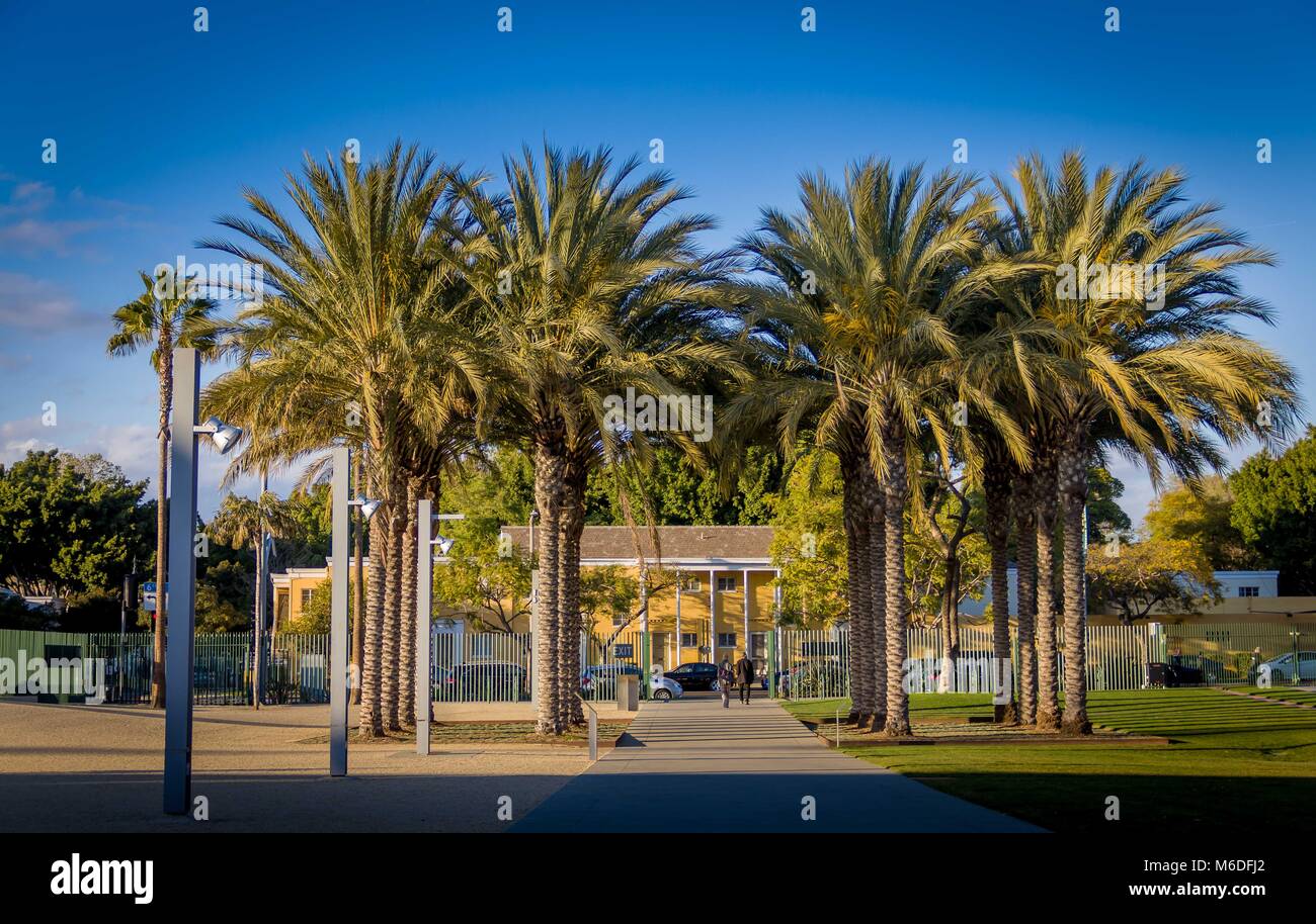 LACMA - Los Angeles County Museum of Art Stock Photo