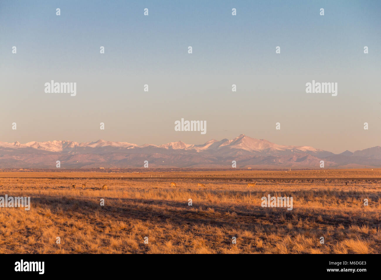 View of far off Longs Peak from Rocky Mountain Arsenal, Colorado, USA. Stock Photo