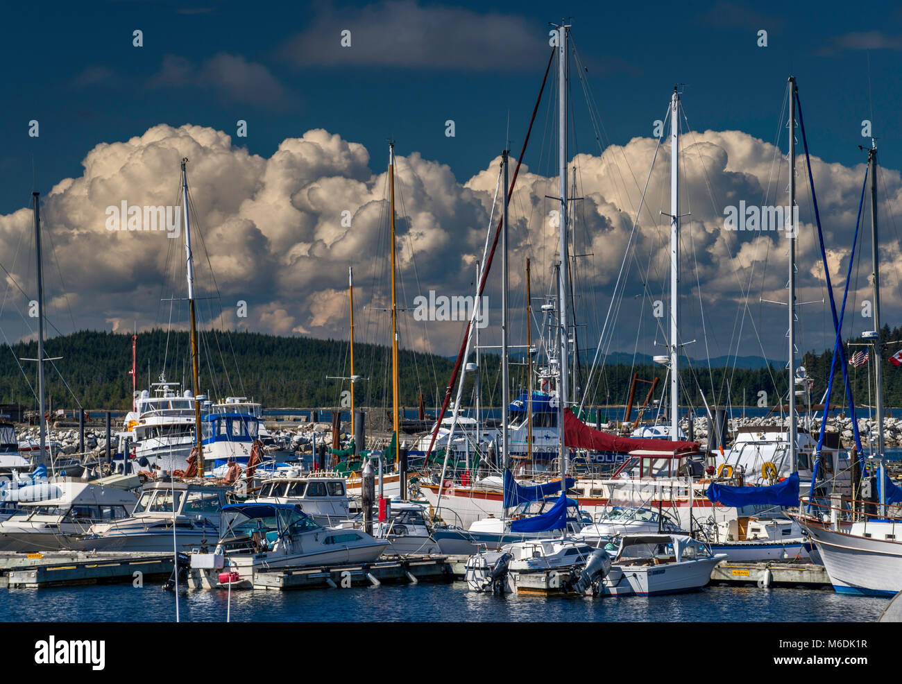 Fishing boats at Municipal Wharf marina near ferry terminal in Port