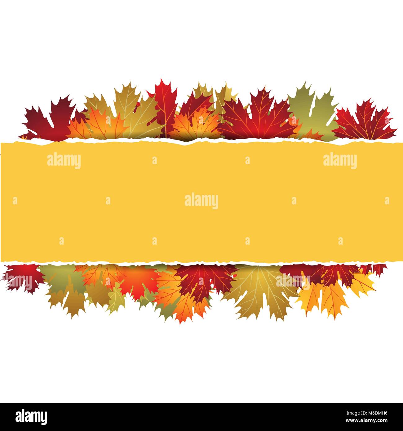 EPS10 Autumn maple leaves background. Vector illustration Stock Vector ...