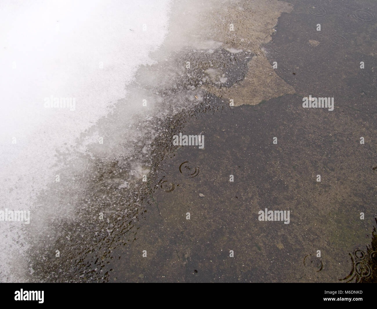 Snow thawing in the rain. Stock Photo