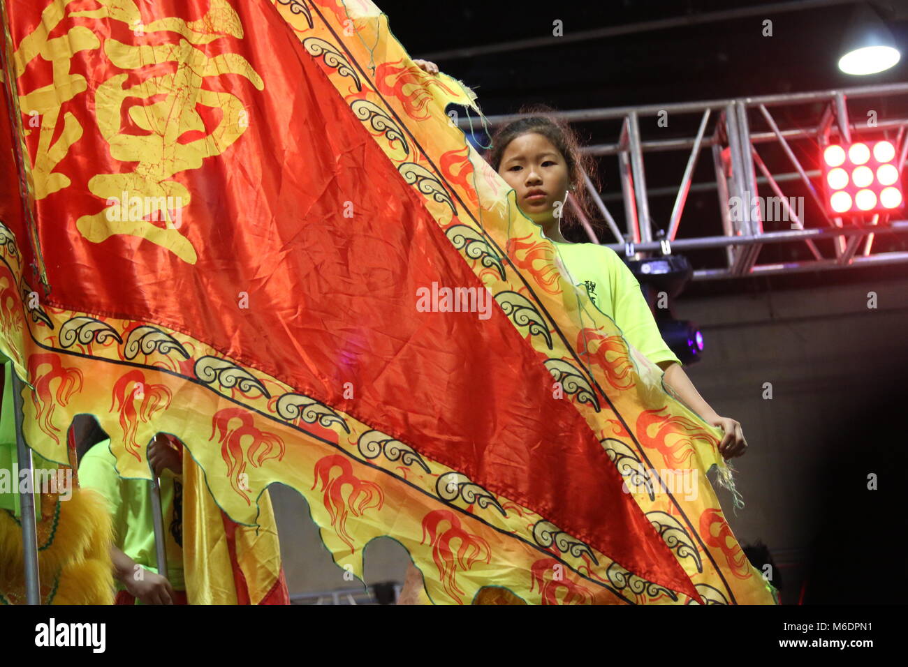 Chinese New Year Family Flags Stock Photo