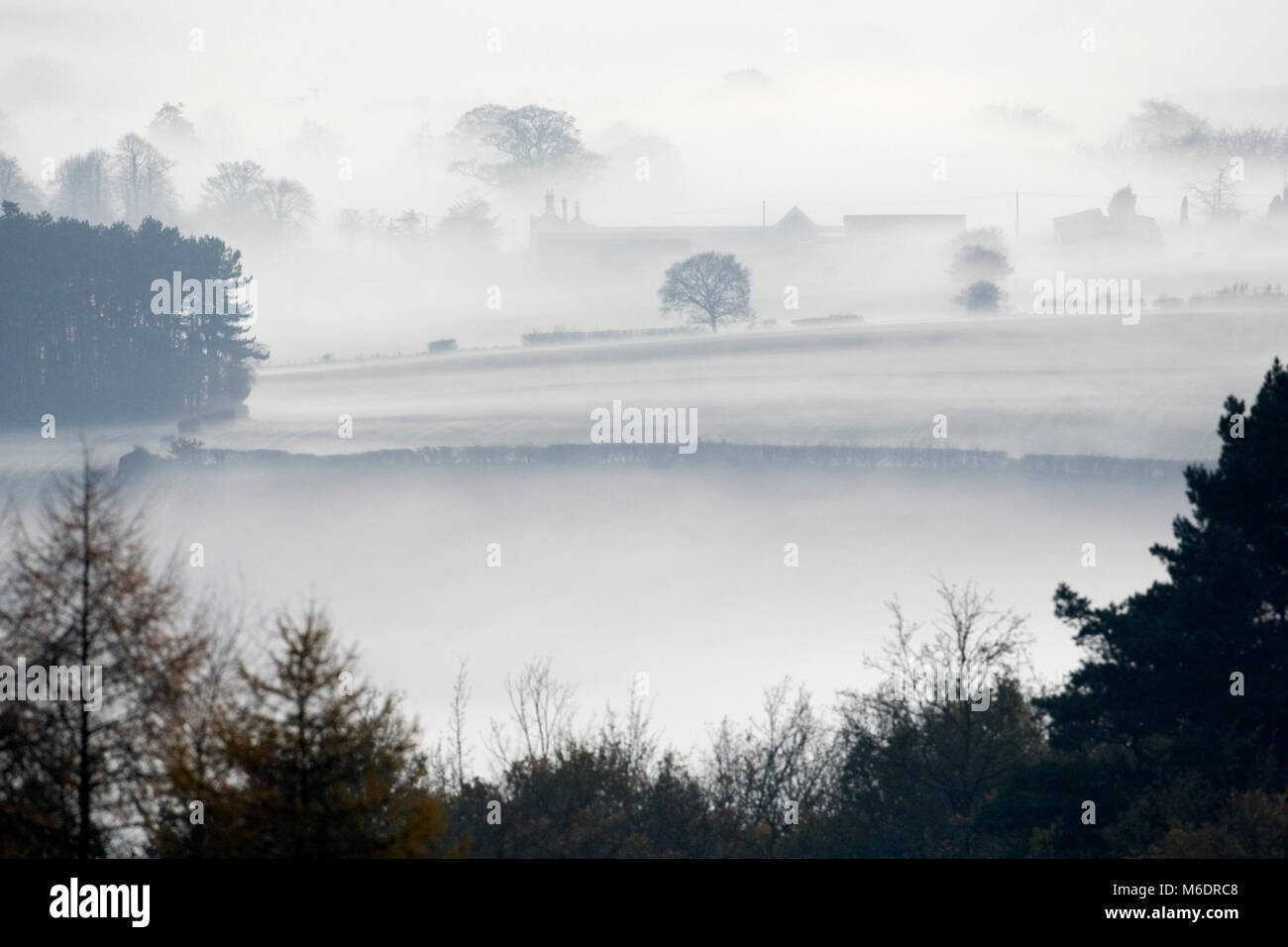Oak trees worcestershire hires stock photography and images Alamy