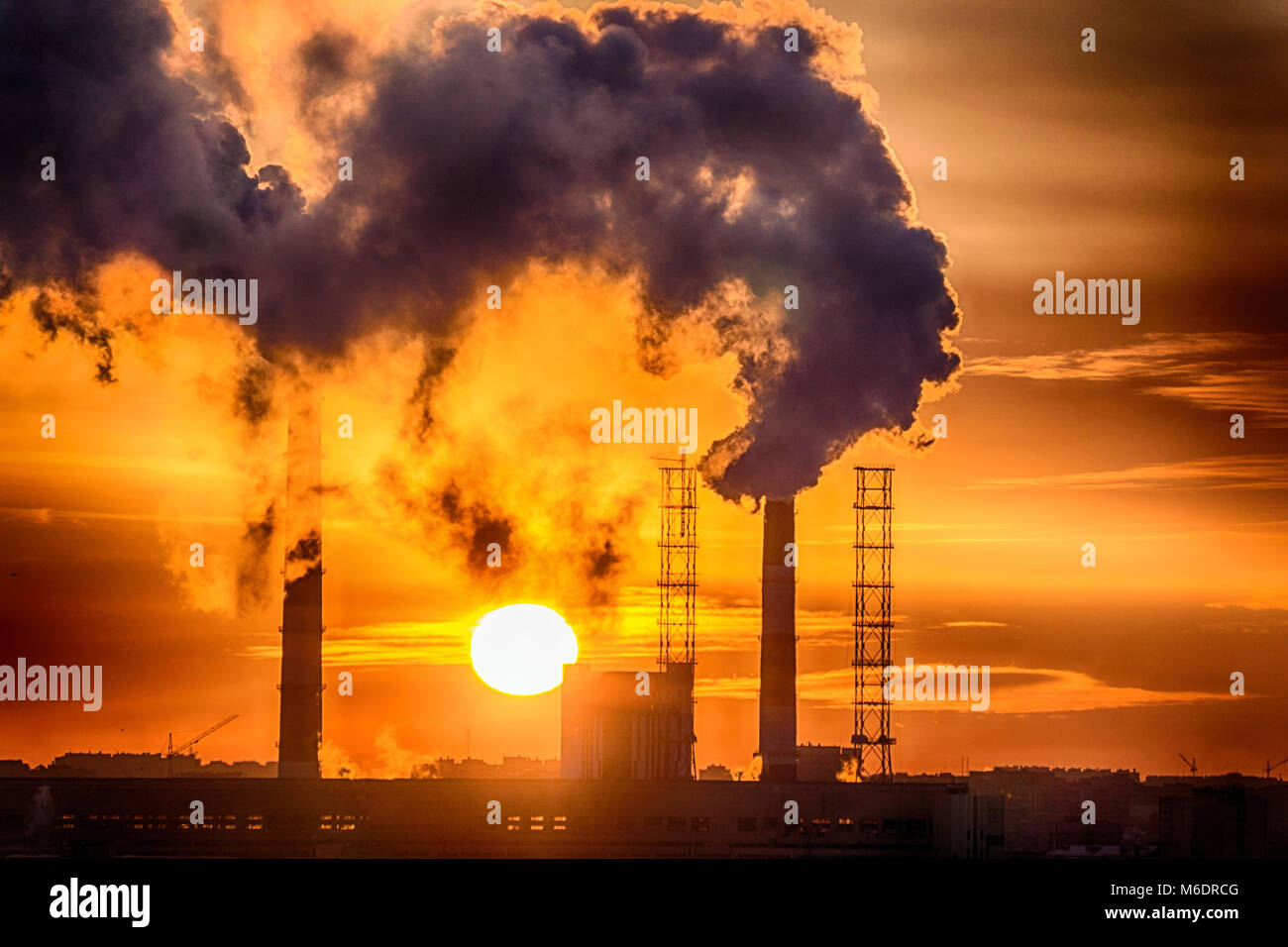 plants at sunset environmental pollution is the release of waste Stock ...