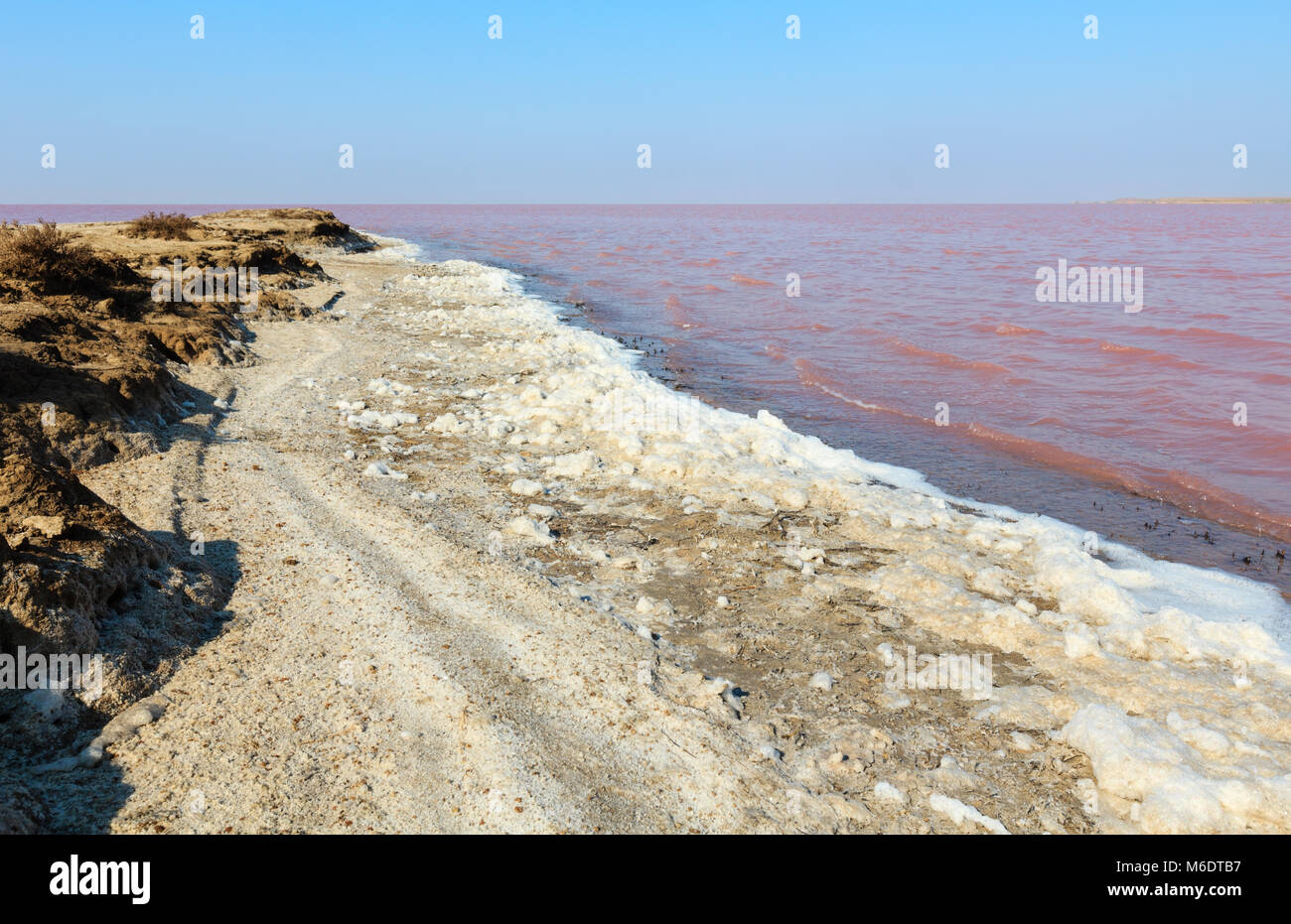 Pink extremely salty Syvash Lake, colored by microalgae with crystalline salt depositions. Also known as the Putrid Sea or Rotten Sea. Ukraine, Kherso Stock Photo