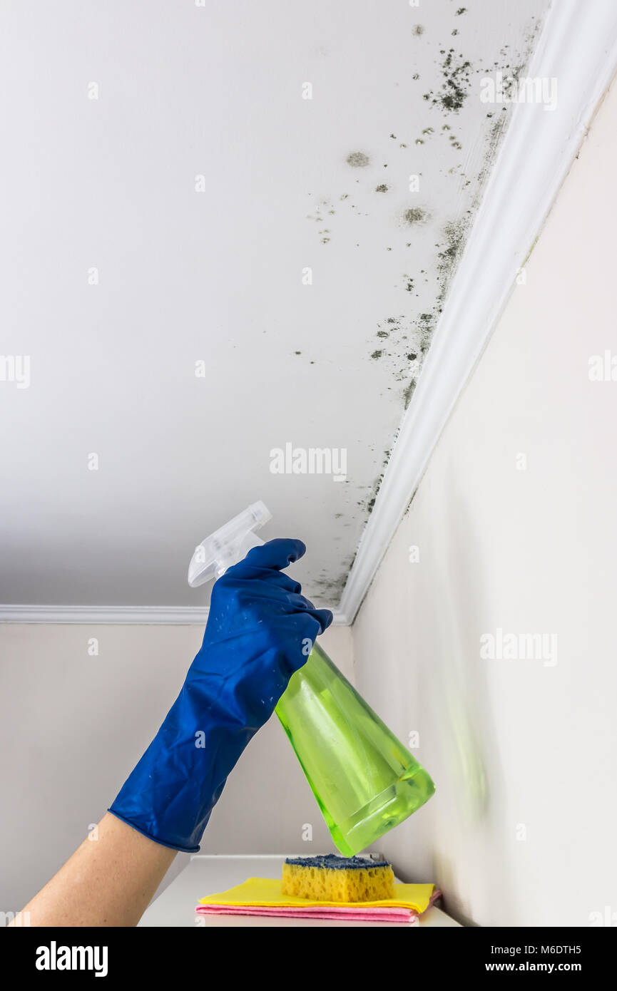 Hand In Blue Rubber Glove Spraying Anti Fungus Liquid On