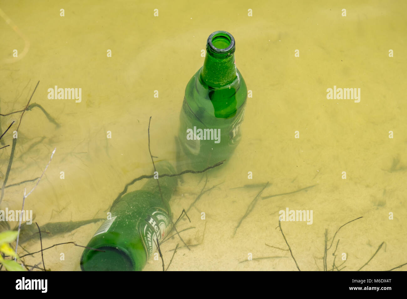 Heineken Beer Bottle dropped in Pond / Lake Stock Photo