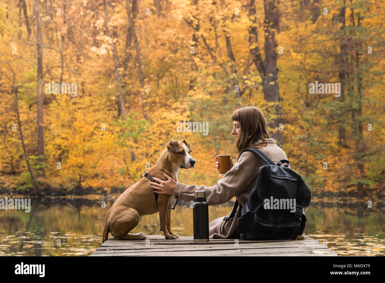 Girl and her pet staffordshire terrier hiking in the forest and have a rest at riverbank, female having big cup of coffee from thermos Stock Photo