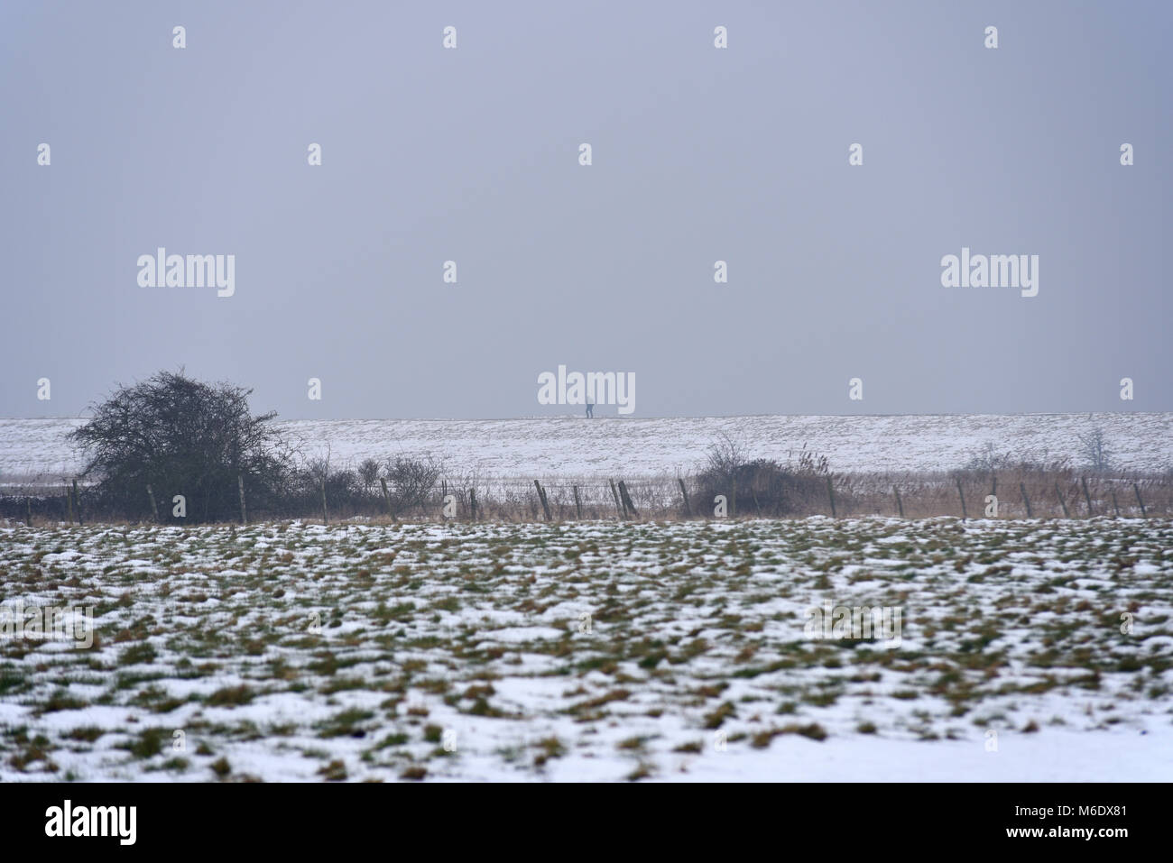 Lone person in Hadleigh Marsh country park and public footpath in Essex with snow on the ground from the beast from the east weather phenomenon Stock Photo