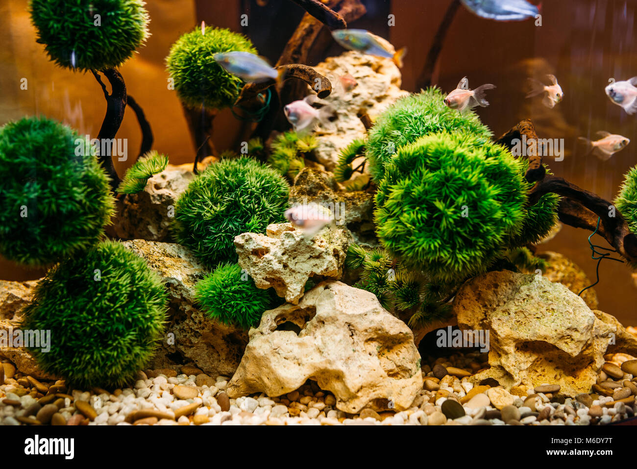 рассадить красиво водоросли в аквариуме. травник аквариум акваскейп. глоссостигма фото 4к. аквариум 120х45х45. акваскейп атлантида.