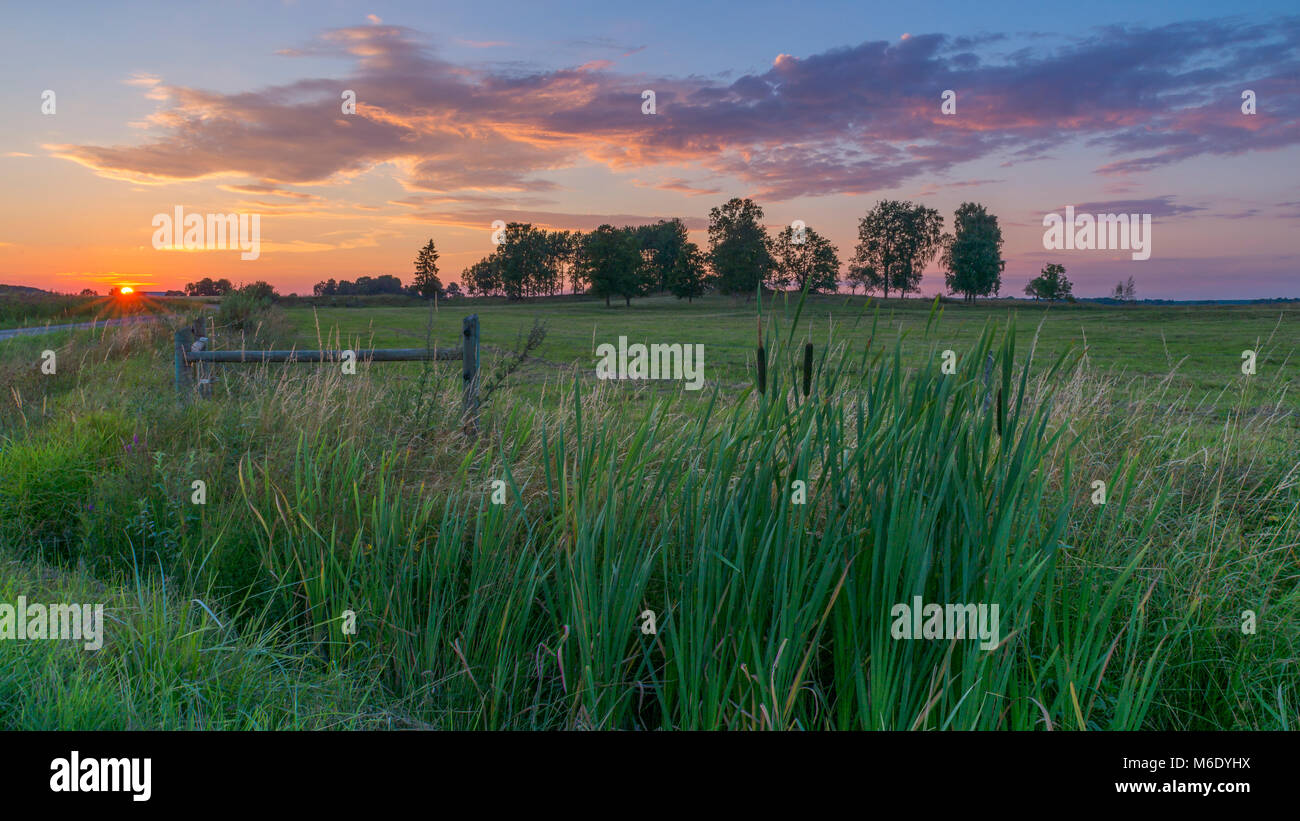 äng, sommar, solnedgång, gräs, vass, staket, himmel, meadow, summer, sunset, grass, reeds, fence, sky, Stock Photo