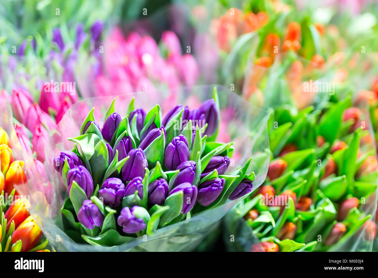 Beautiful multicolored flower bouquets. Various fresh tulips at flower