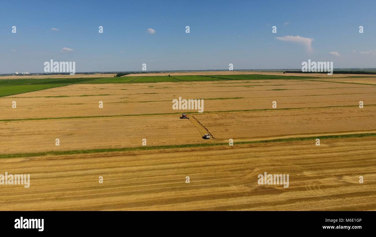 Harvesting barley harvesters. Fields of wheat and barley, the work of ...