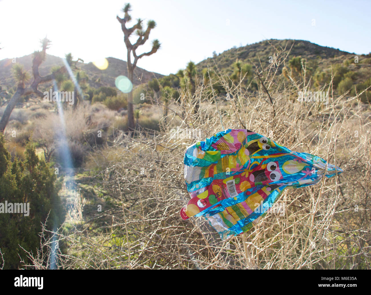 Snagged tree hi-res stock photography and images - Alamy