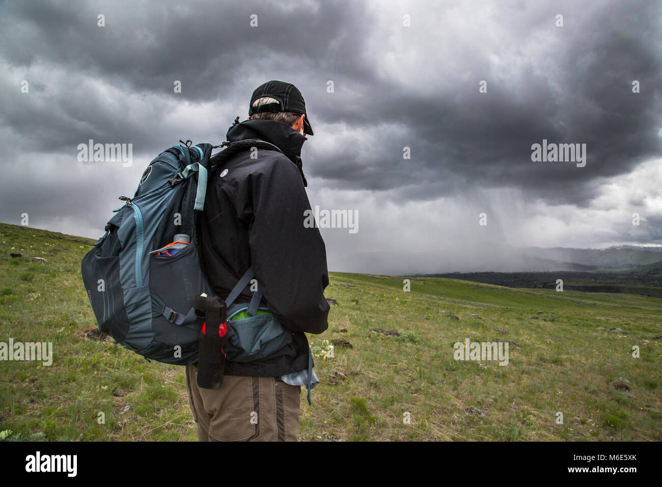 Specimen ridge yellowstone hi-res stock photography and images - Alamy