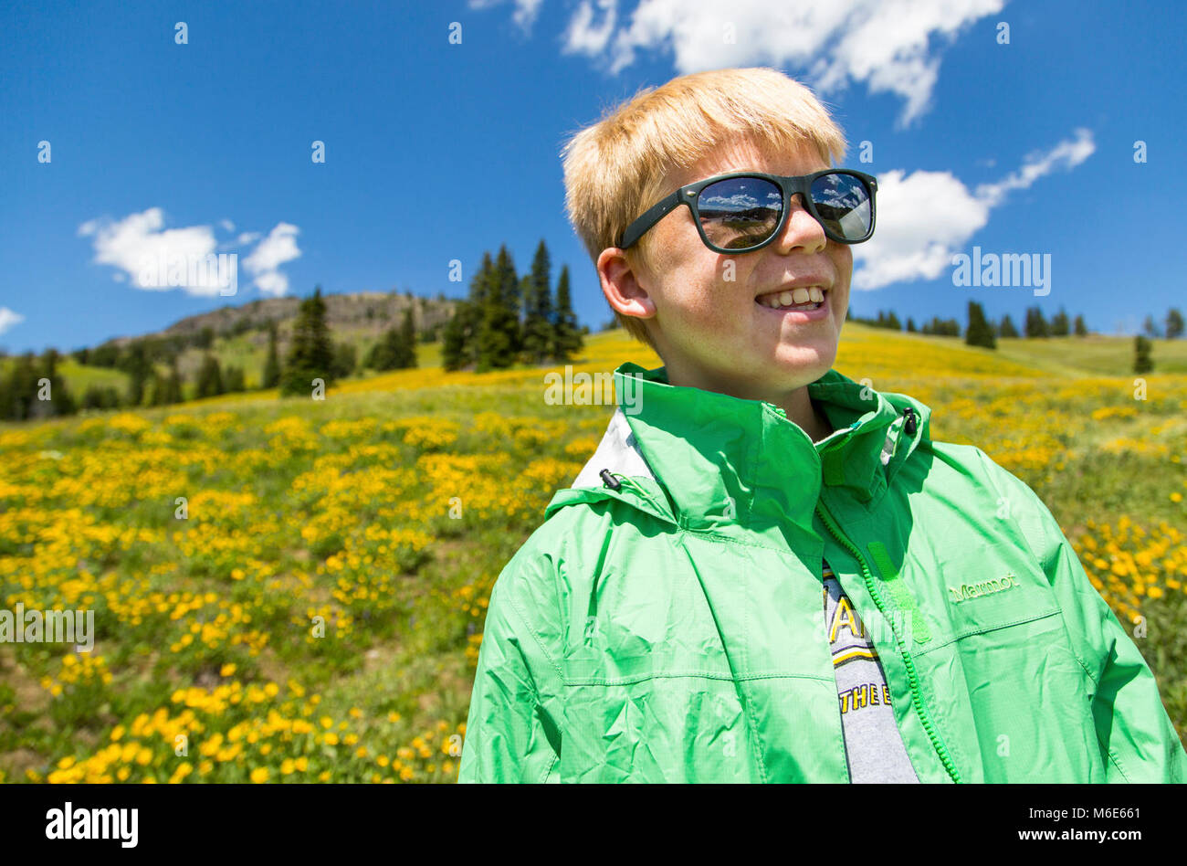 The Hills Are Alive At Dunraven Pass Stock Photo 176103817 Alamy