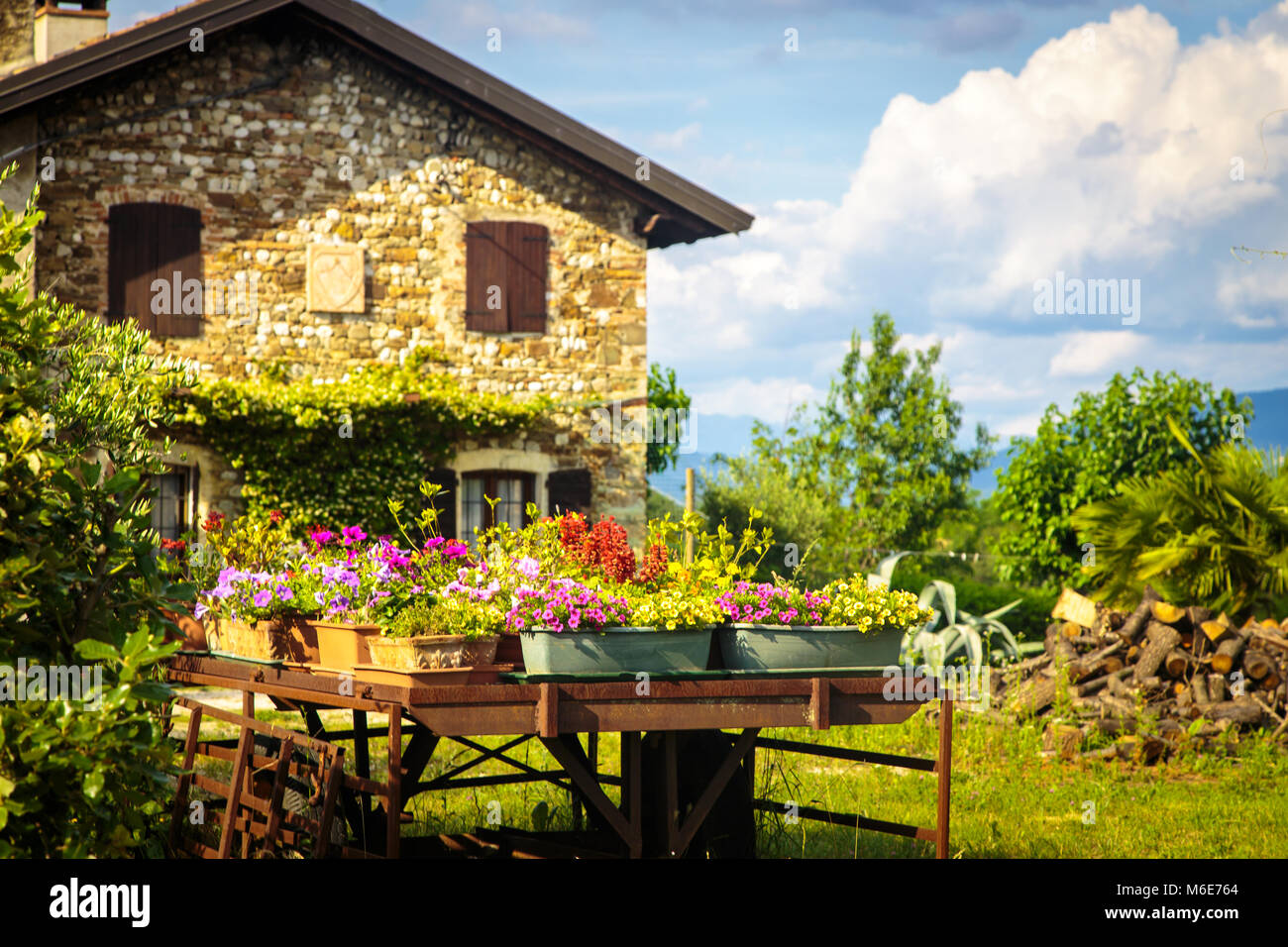Italy Old Rural An old farm in the italian countryside with flowers in its garden Stock ...