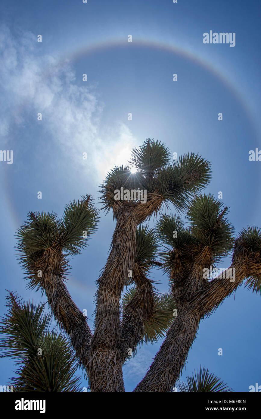 Sun Halo. Stock Photo