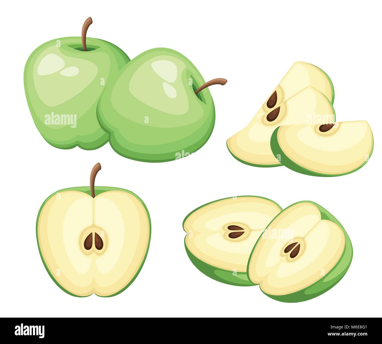 Apple and slices of apples. Vector illustration of apples. Vector illustration for decorative poster, emblem natural product, farmers market. Website page and mobile app design Stock Vector