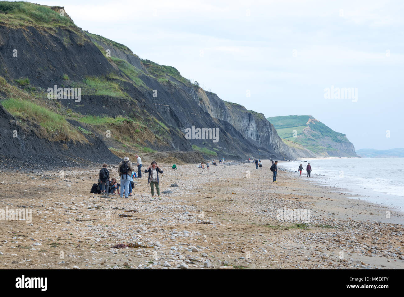 Beachcombers hunting for fossils on the Jurassic Coast near Lyme Regis, Dorset, England Stock Photo