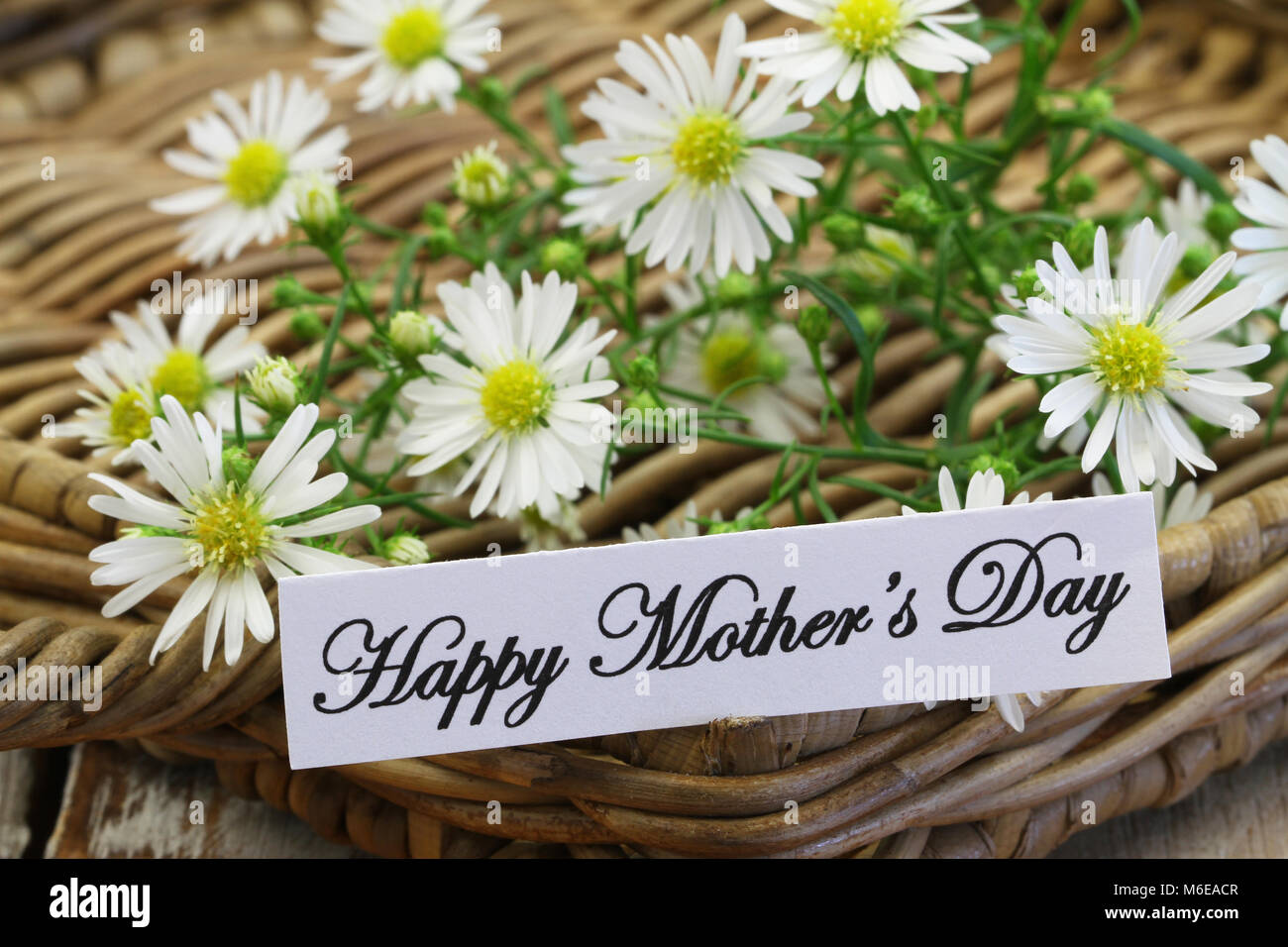 Happy Mother's day card with chamomile flowers on wicker tray Stock Photo