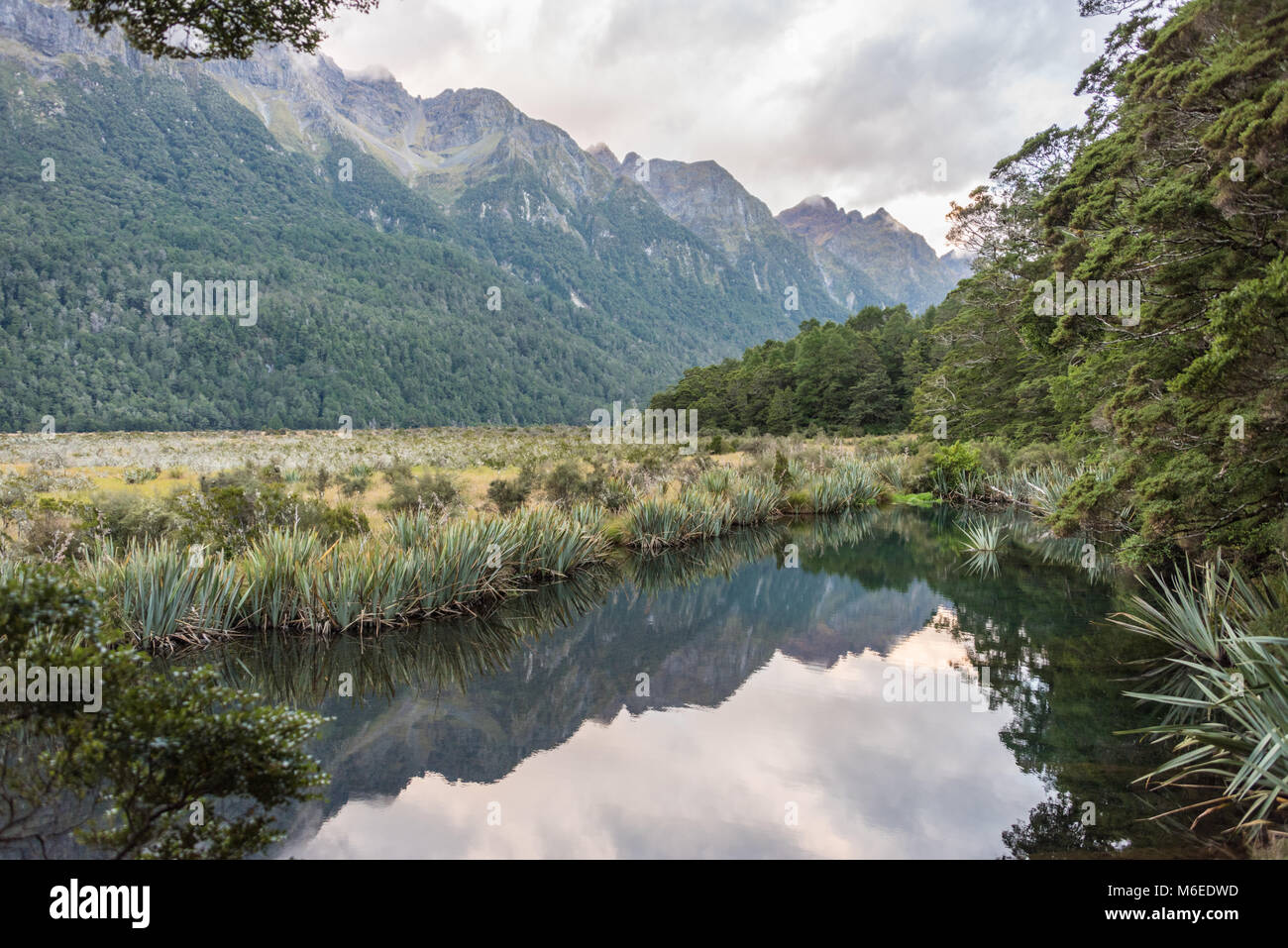 Reflection at Mirror Lake, South Island, New Zealand Stock Photo