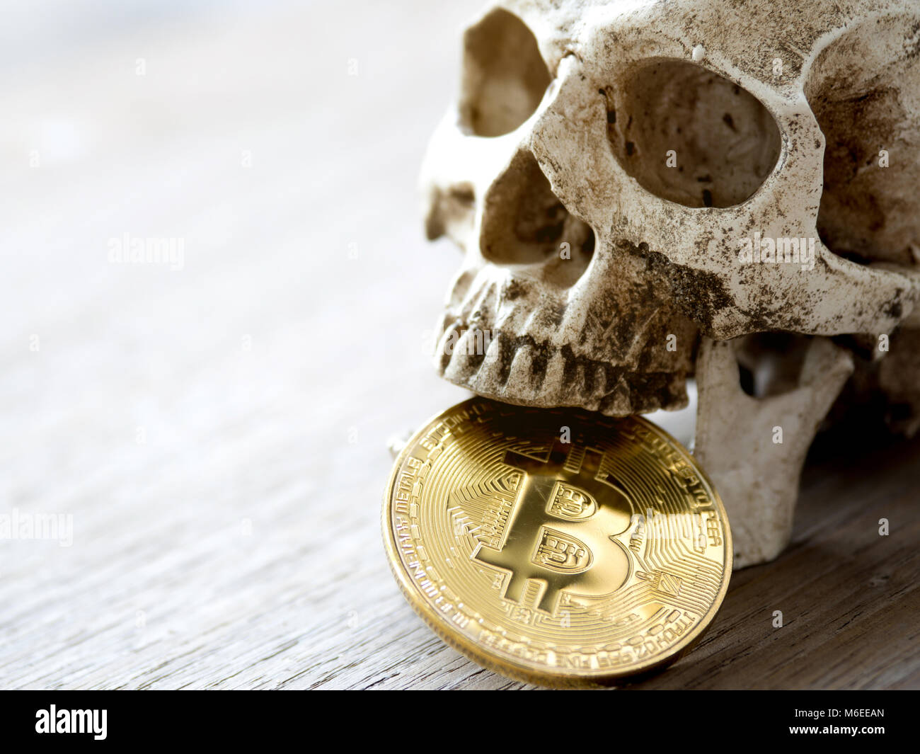 Close up of Skull biting Golden bitcoin on wooden table. The concept of investment of bitcoin and cryptocurrency. The feeling of disappointed investor Stock Photo