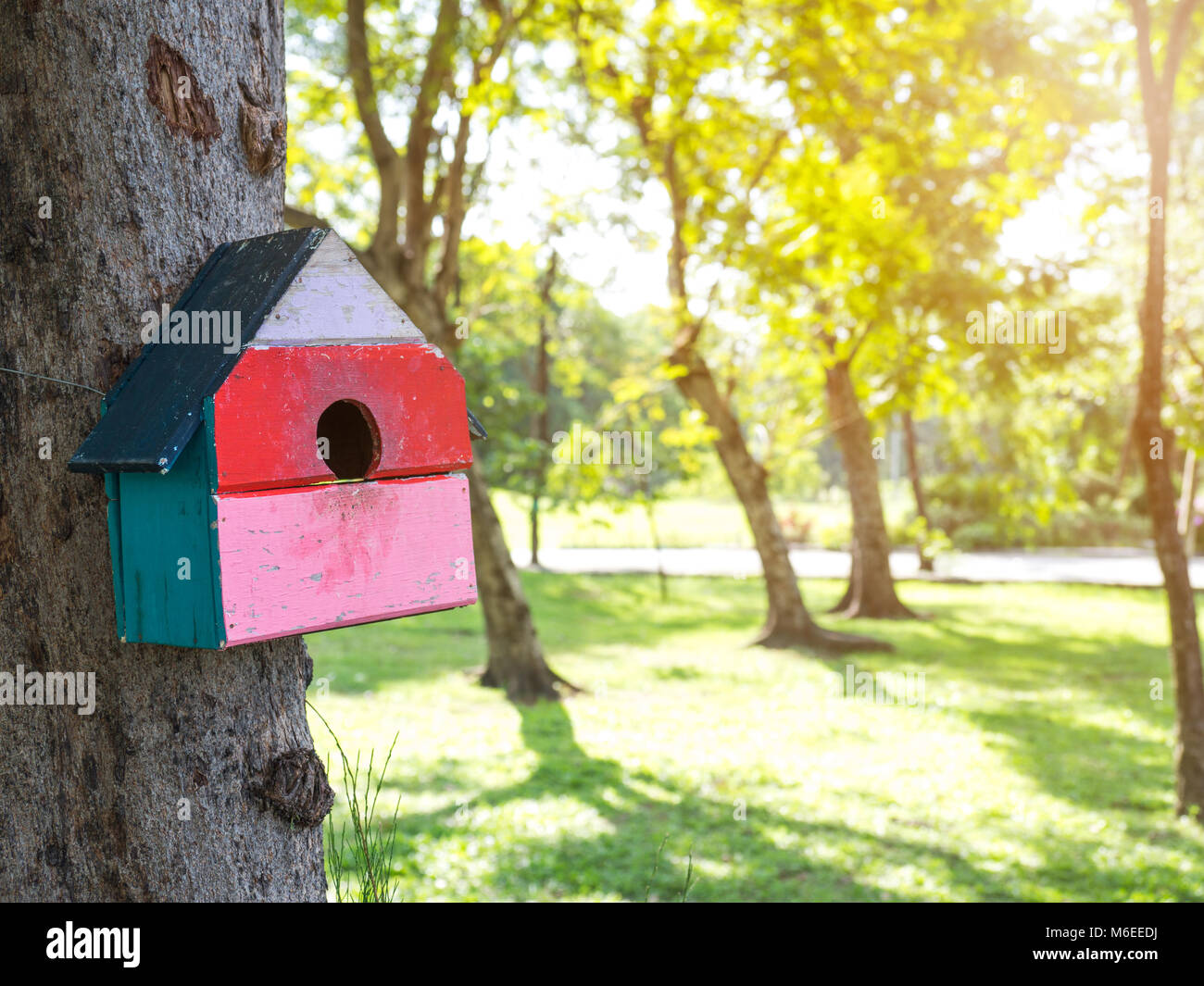 Colorful Bird Houses in the park Hanging on a tree, The bird house was placed at various points.birdhouse forest with many brightly colored bird house Stock Photo